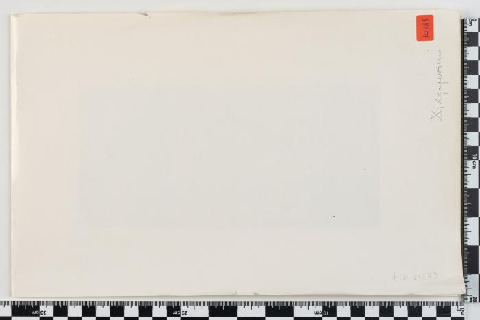 PPM 29243_1