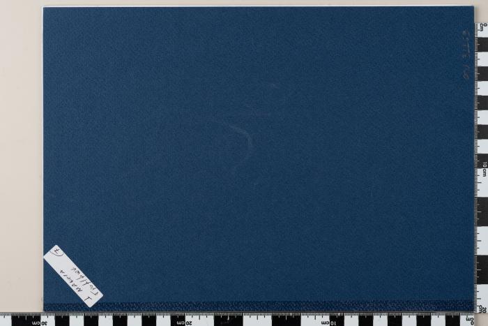PPM 31169_1