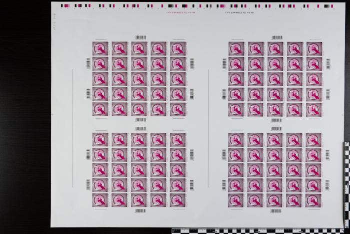 PPM 15538