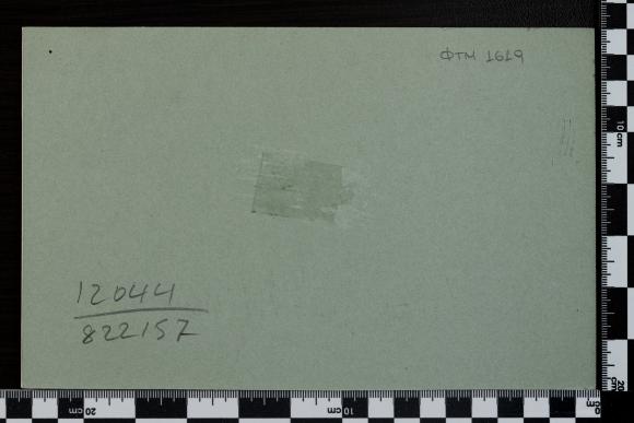 PPM 1619_2