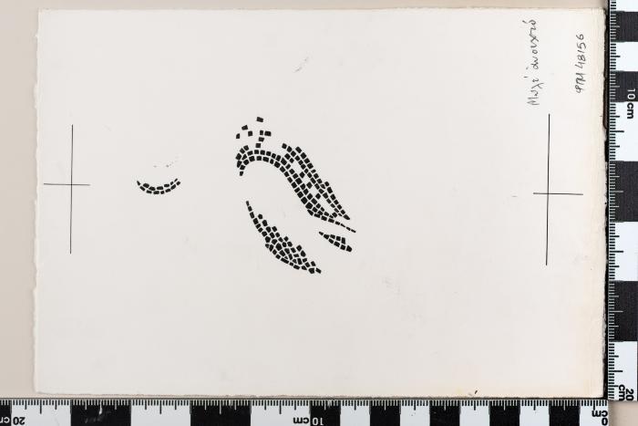 PPM 48156
