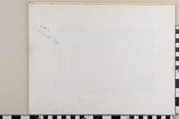 PPM 49335_1