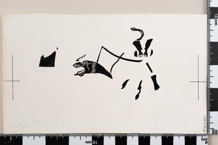 PPM 51064