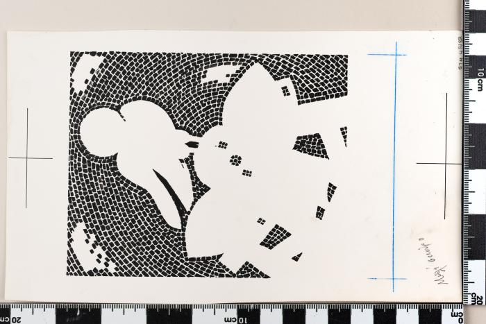 PPM 48182_1