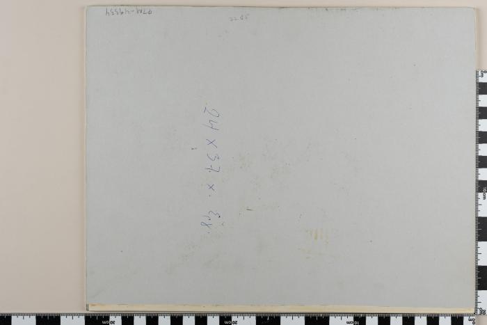 PPM 49334_2