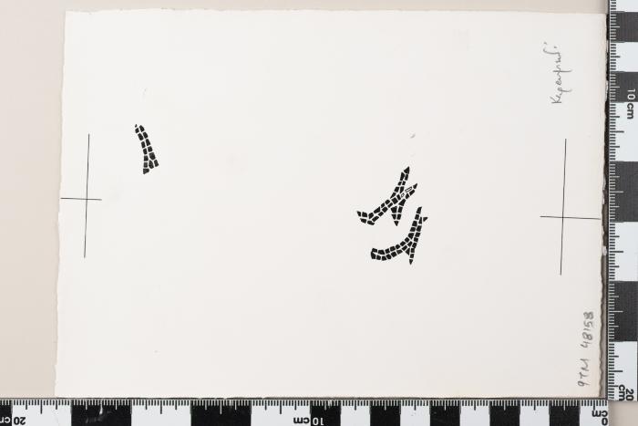 PPM 48158